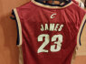 NBA Adidas Cavaliers LeBron James marškinėliai (10)